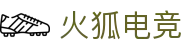 火狐电竞 - 点燃电竞激情，赛出体育精神